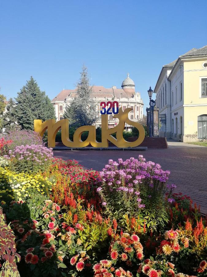 Csipke Apartman Mako Bagian luar foto
